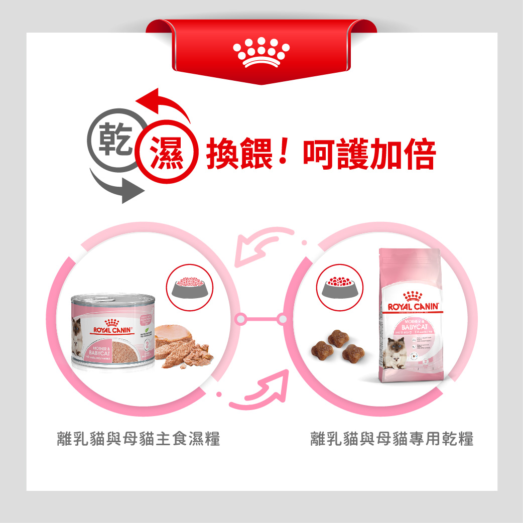 BC34W 離乳貓與母貓主食濕糧195G | 熱銷推薦| 法國皇家直送