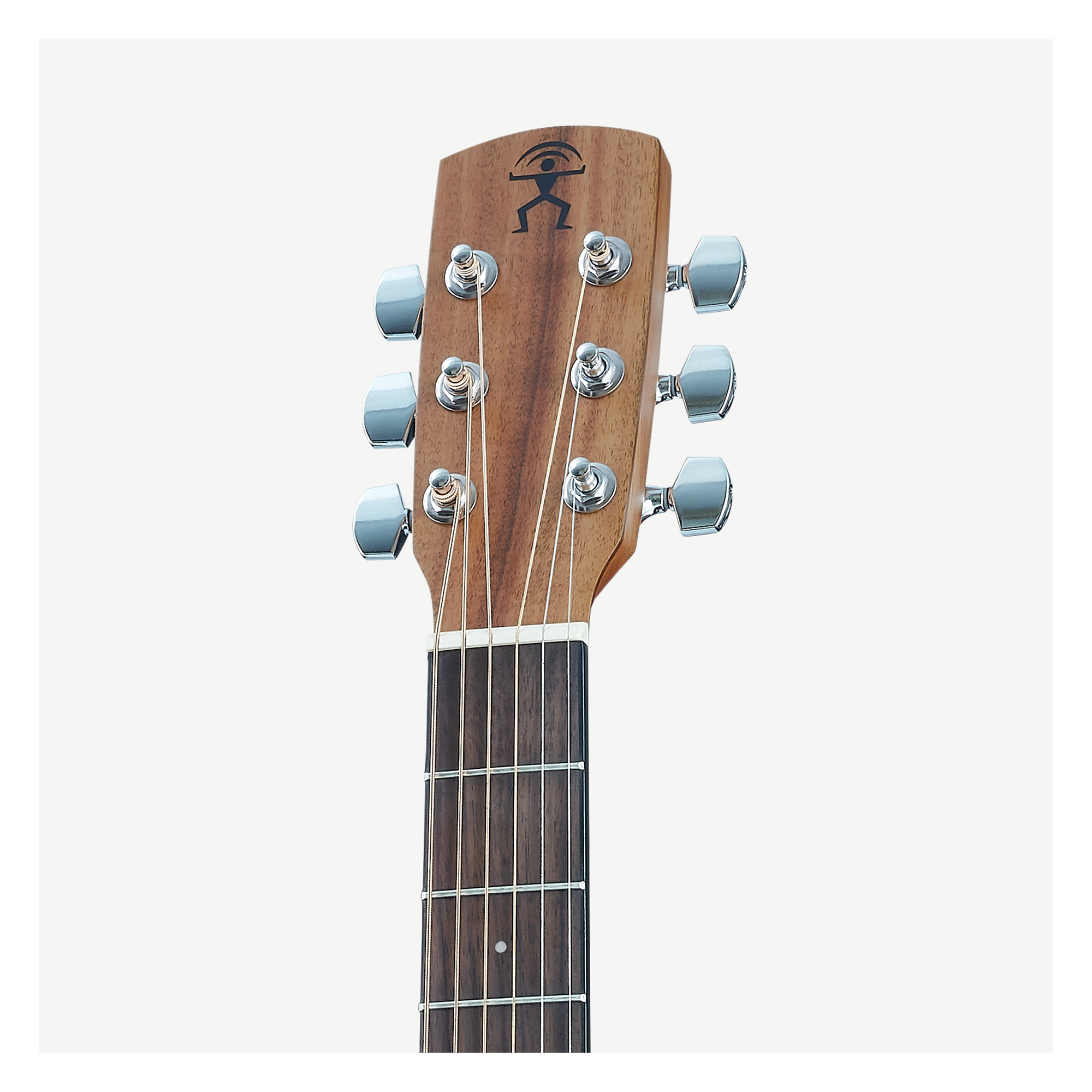 aNueNue M2 Newborn Bird-36吋旅行吉他