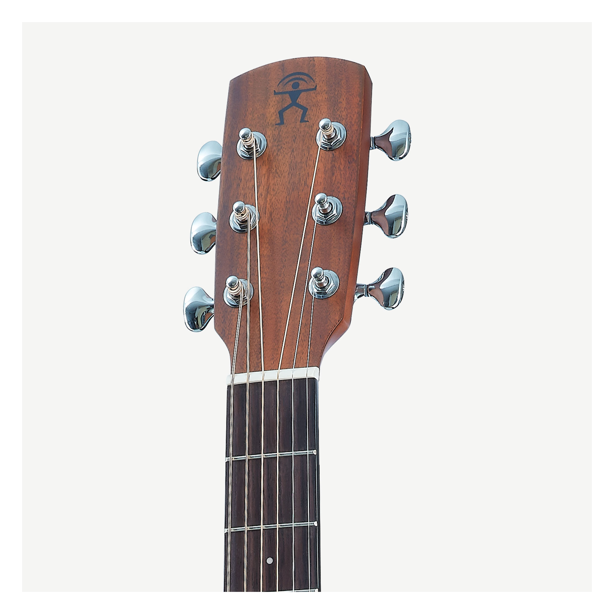 手渡し歓迎　aNueNue Bird L10 LS Acoustic Future Guitar Series