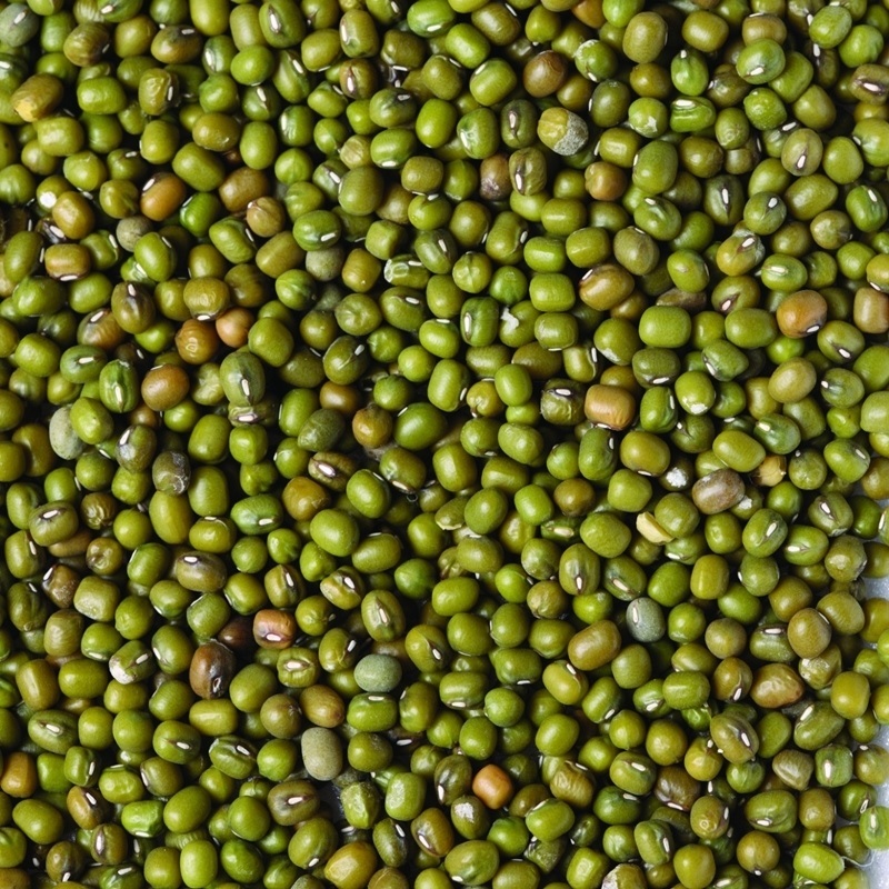 全國毛綠豆 （Green Beans） 600g／1.8kg_1
