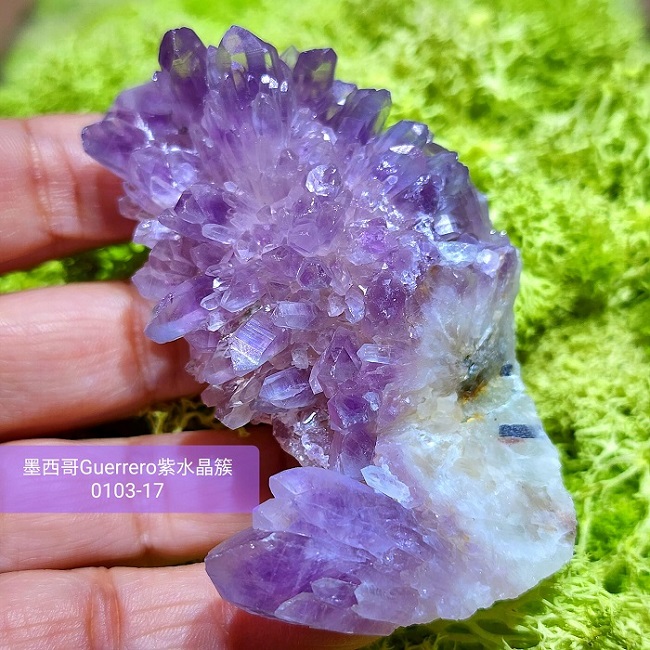 土桑精品】格雷羅糖心紫水晶簇0103-17號Guerrero Phantom Amethyst, Mexico