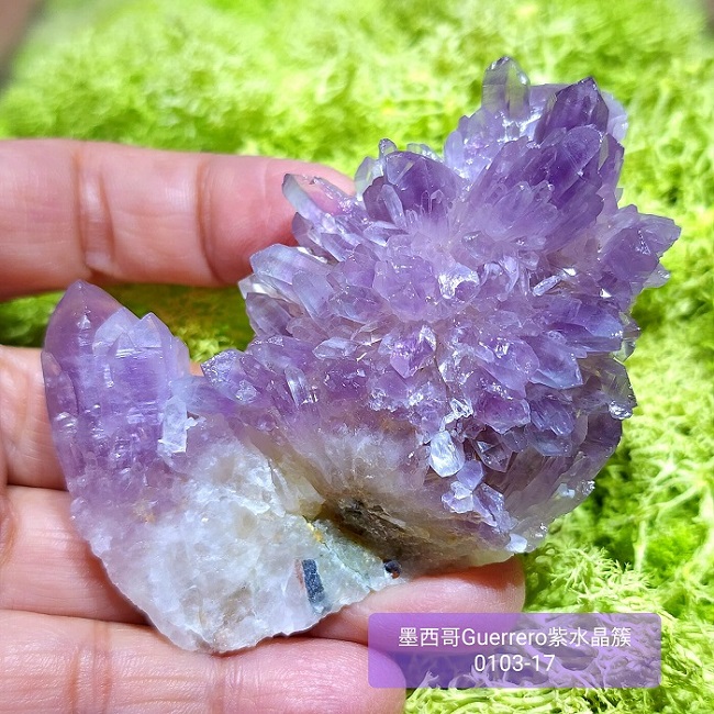 土桑精品】格雷羅糖心紫水晶簇0103-17號Guerrero Phantom Amethyst, Mexico