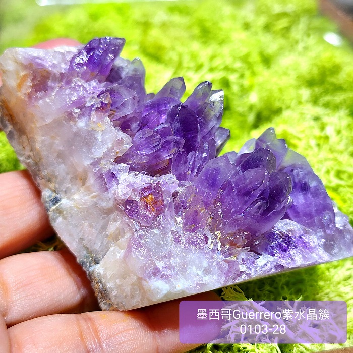 土桑精品】格雷羅糖心紫水晶簇0103-28號Guerrero Phantom Amethyst, Mexico