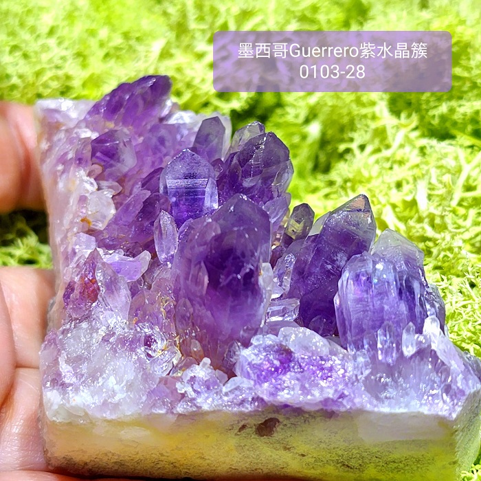 土桑精品】格雷羅糖心紫水晶簇0103-28號Guerrero Phantom Amethyst, Mexico