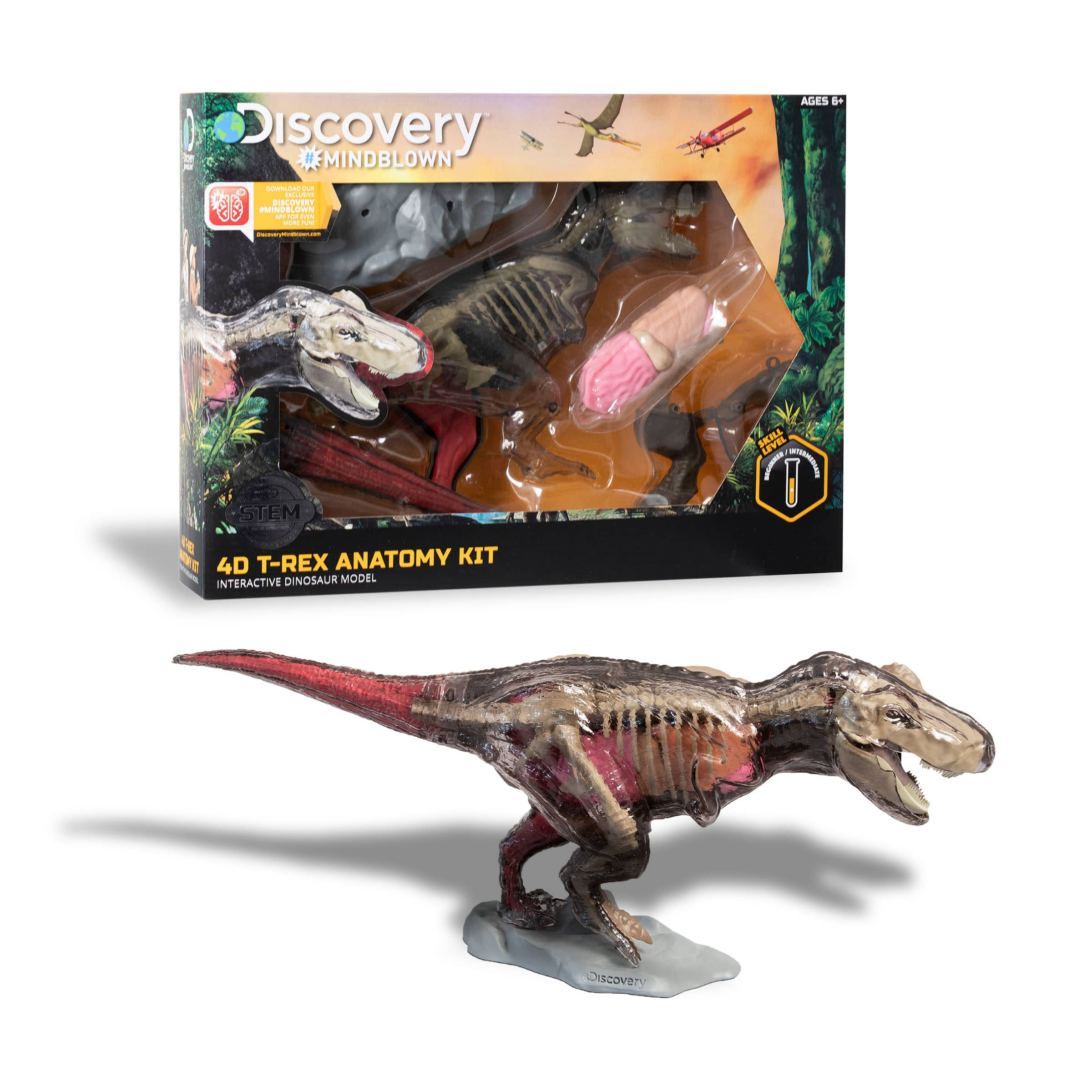 Discovery Mindblown】超擬真暴龍解剖模型組